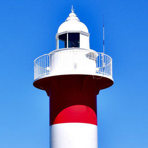 LIGHT HOUSE - ◆ライトハウスサプリメント【火源】ひのもと ◇ライトハウスサプリメント【火源】